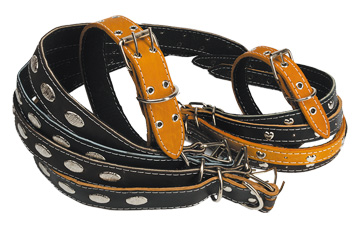 ������� �������