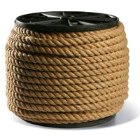 �����, ���� �����