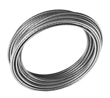 ���� � �������� ������������